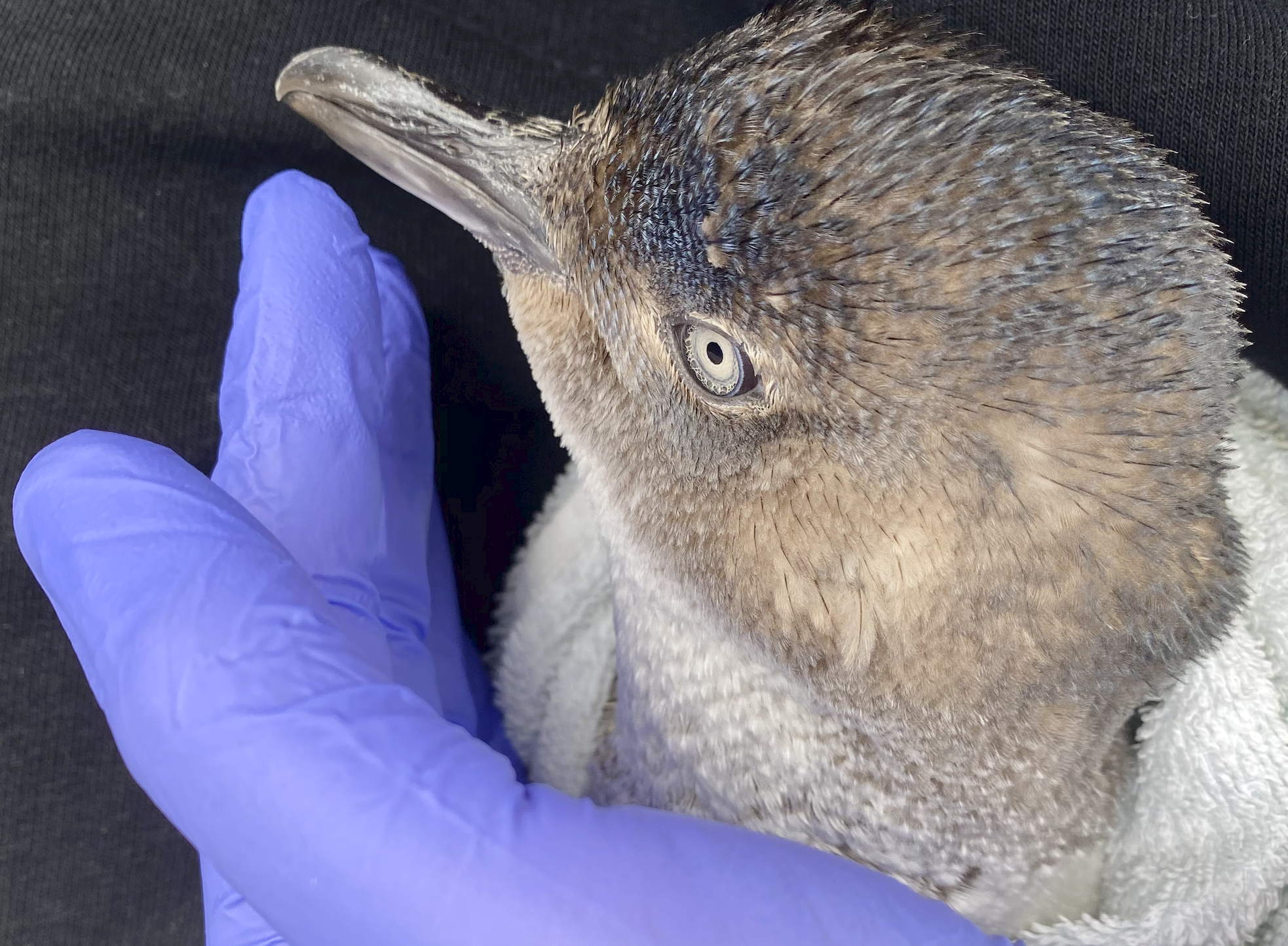 Screen Shot 2024-05-20 at 9.43.25 PM.png