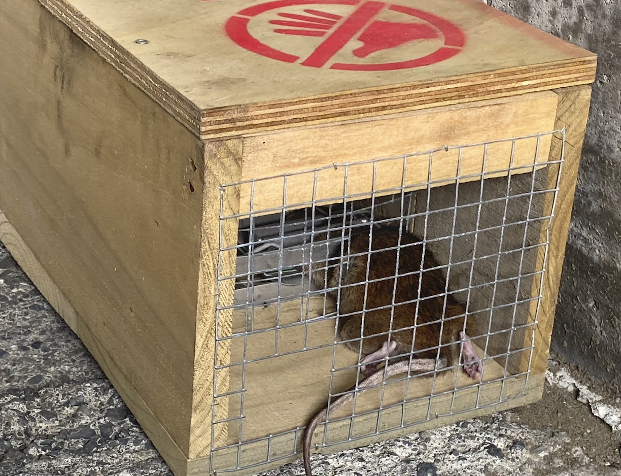 Screen Shot 2024-06-26 at 11.12.40 AM.png