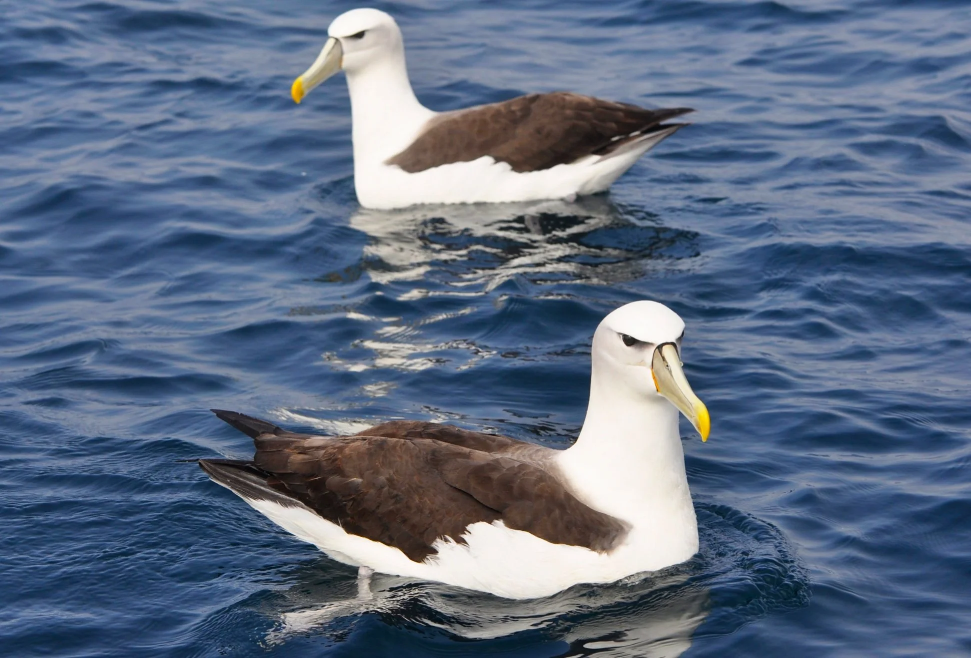 Screen Shot 2022-06-13 at 12.32.29 PM.jpg