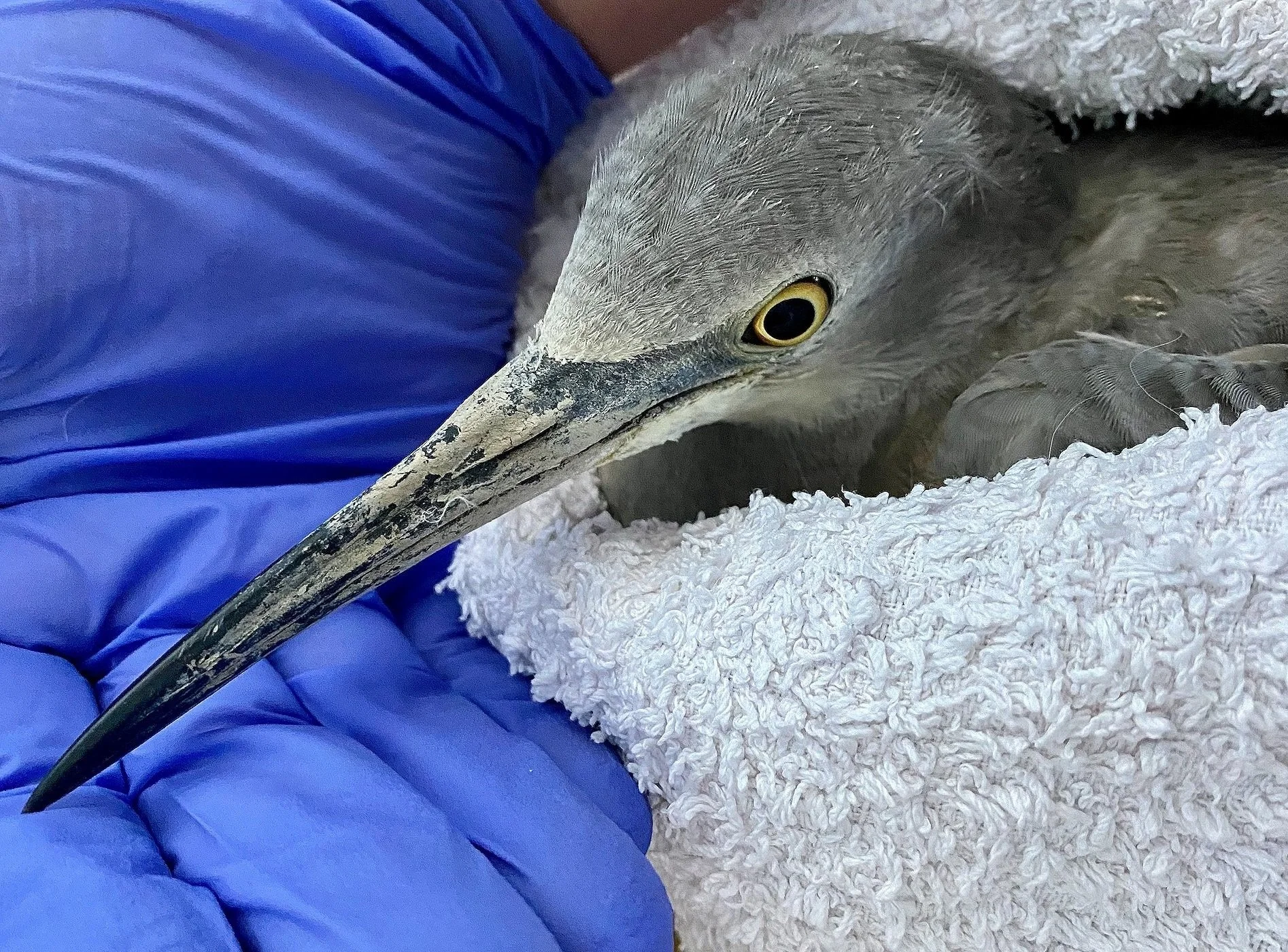 Screen Shot 2023-05-15 at 6.57.13 PM.jpg