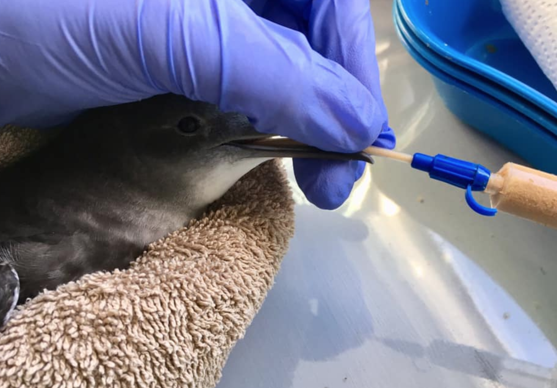 Screen Shot 2021-02-09 at 5.31.56 PM.png