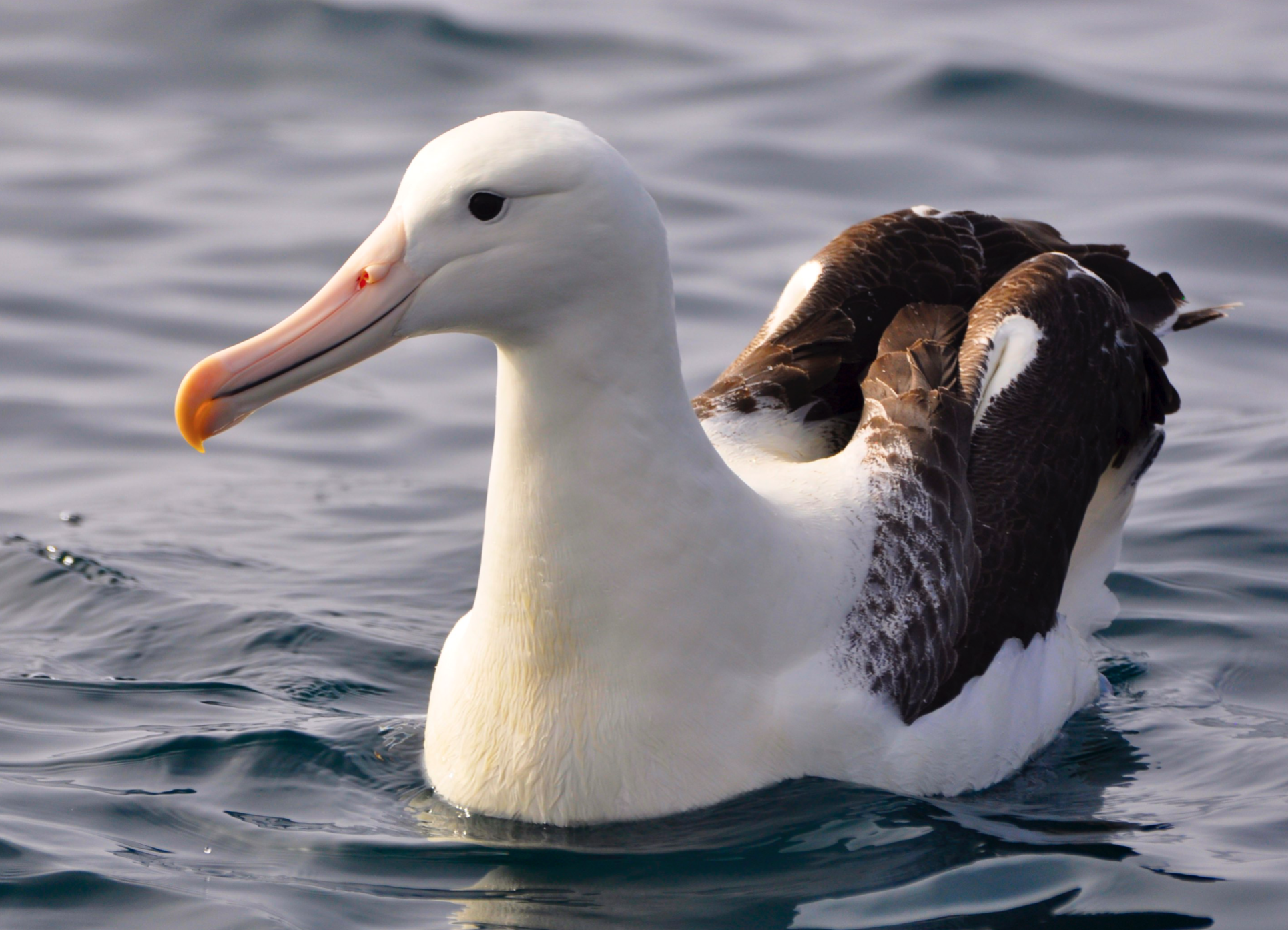 Screen Shot 2022-07-13 at 9.23.41 PM.png