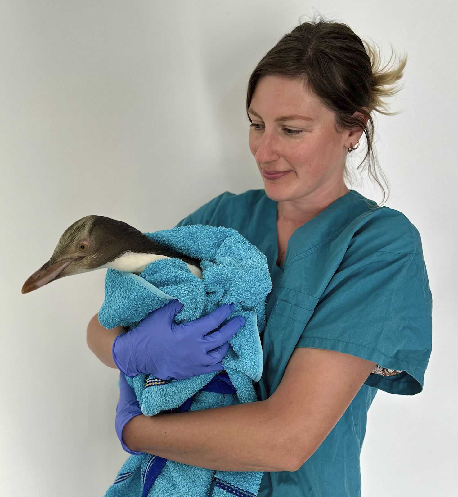 Screen Shot 2024-05-20 at 9.38.12 PM.png