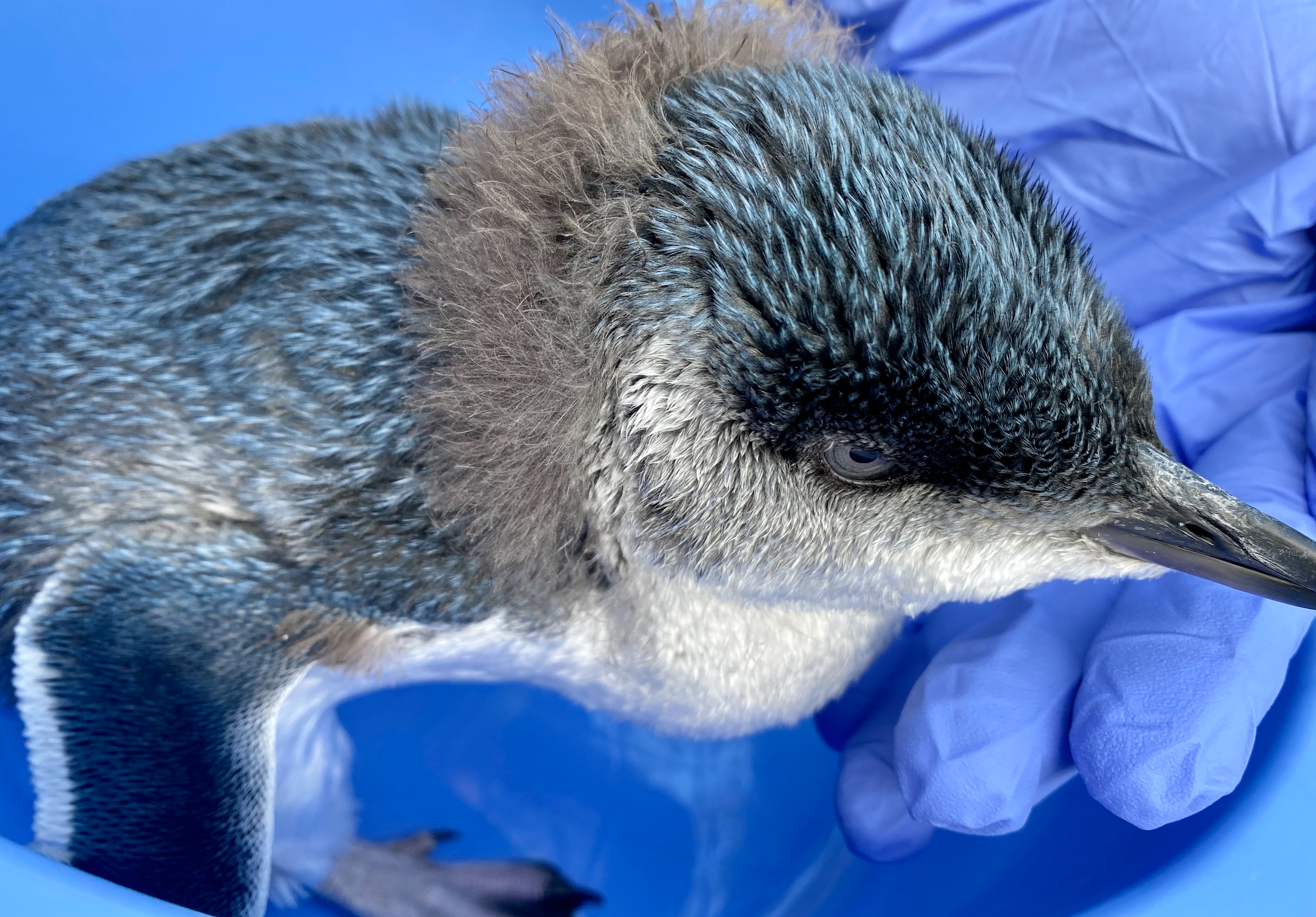 Screen Shot 2023-11-21 at 7.12.45 PM.png