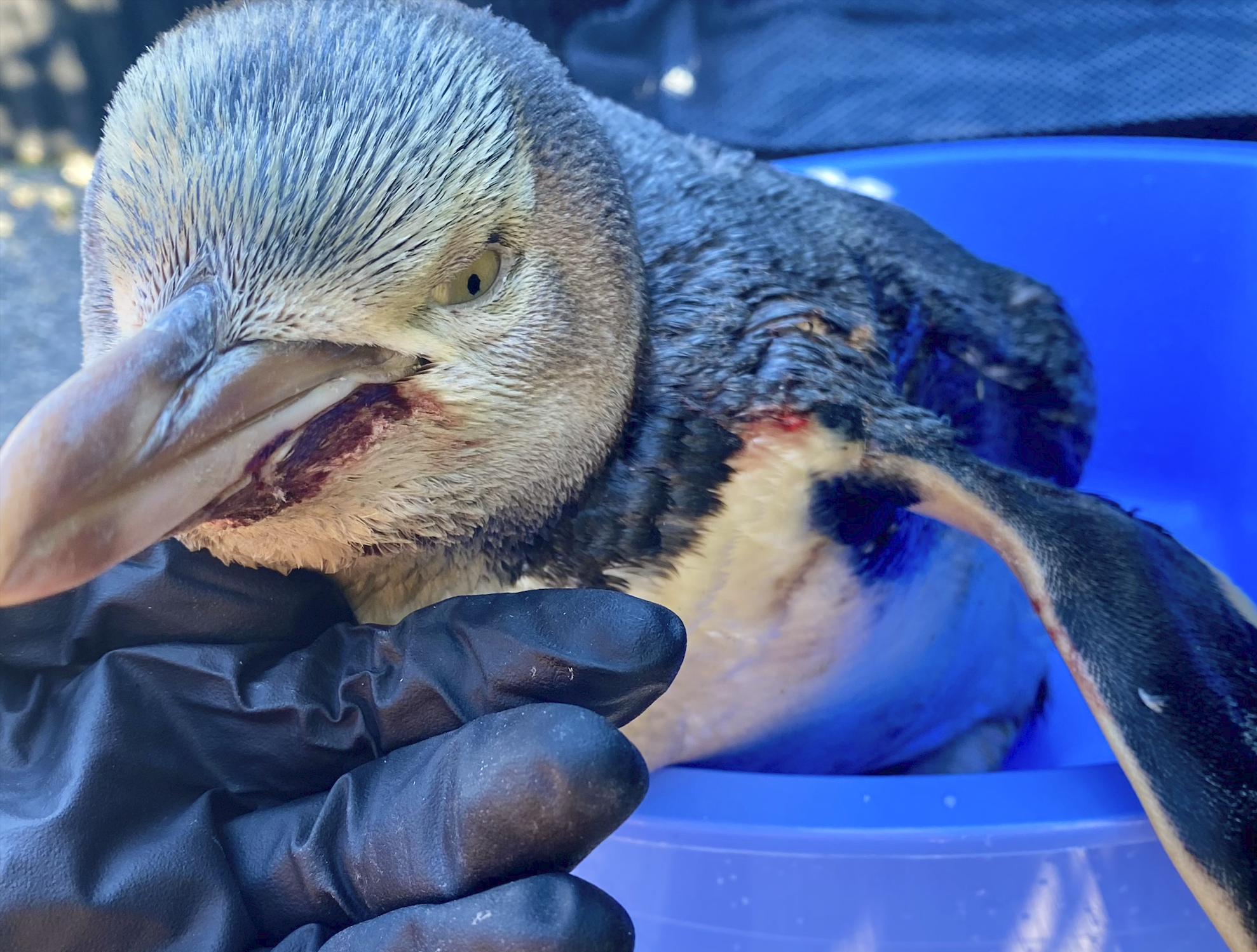 Screen Shot 2024-05-20 at 9.59.17 PM.png