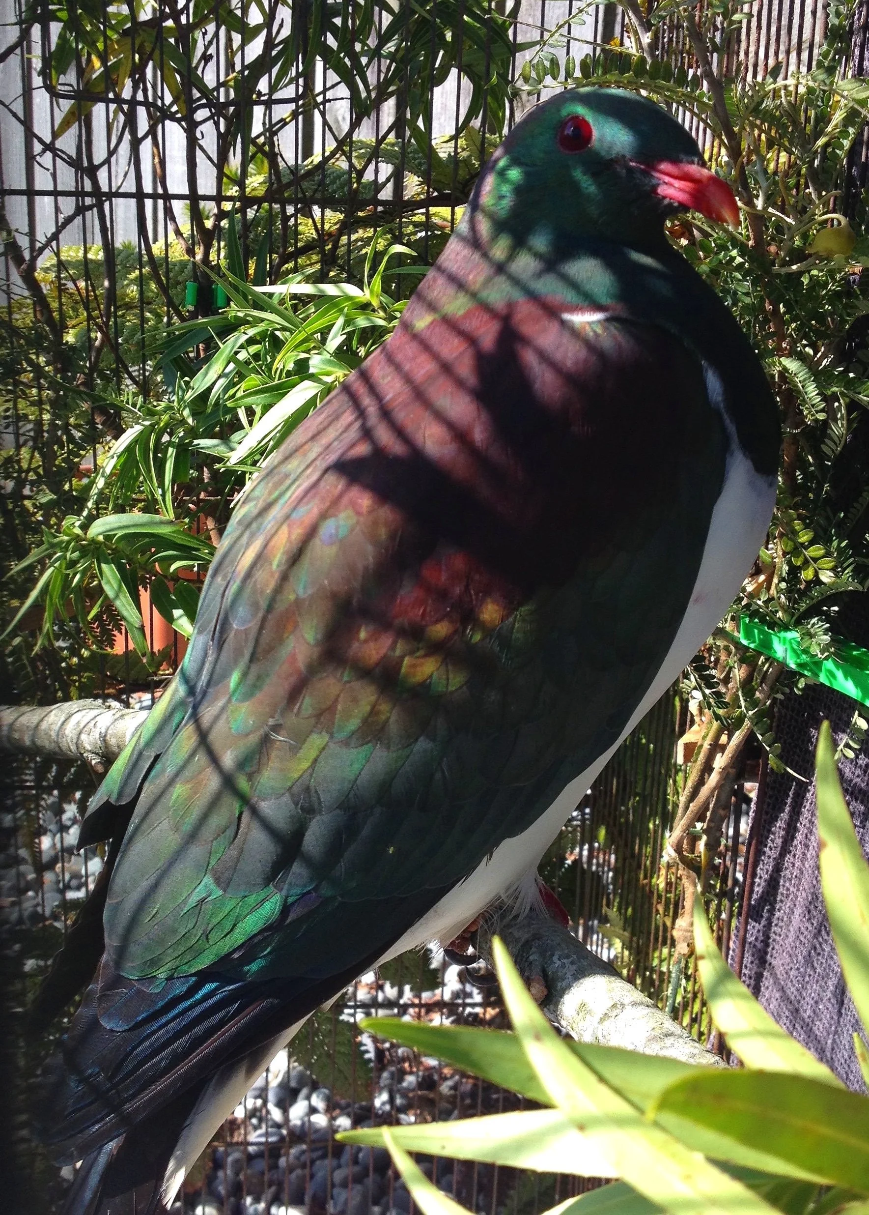 2015-09-03 13.10.09.jpg