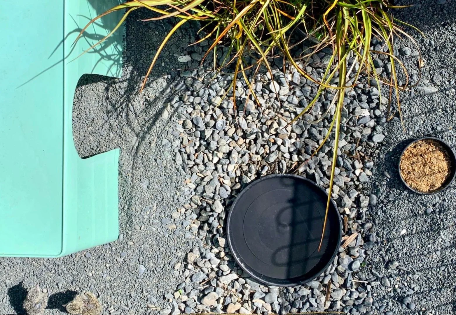 Screen Shot 2021-02-09 at 5.36.48 PM.jpg