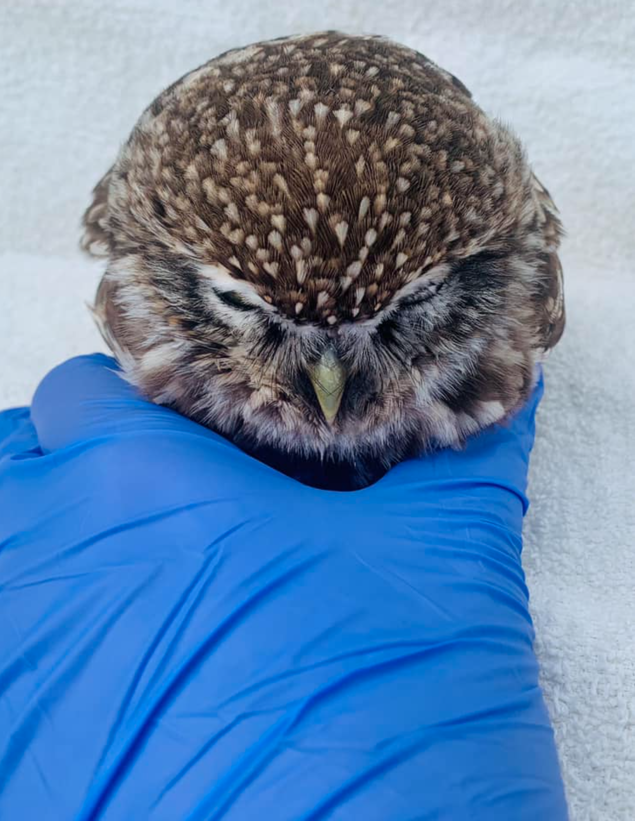 Screen Shot 2022-11-26 at 3.57.44 PM.png