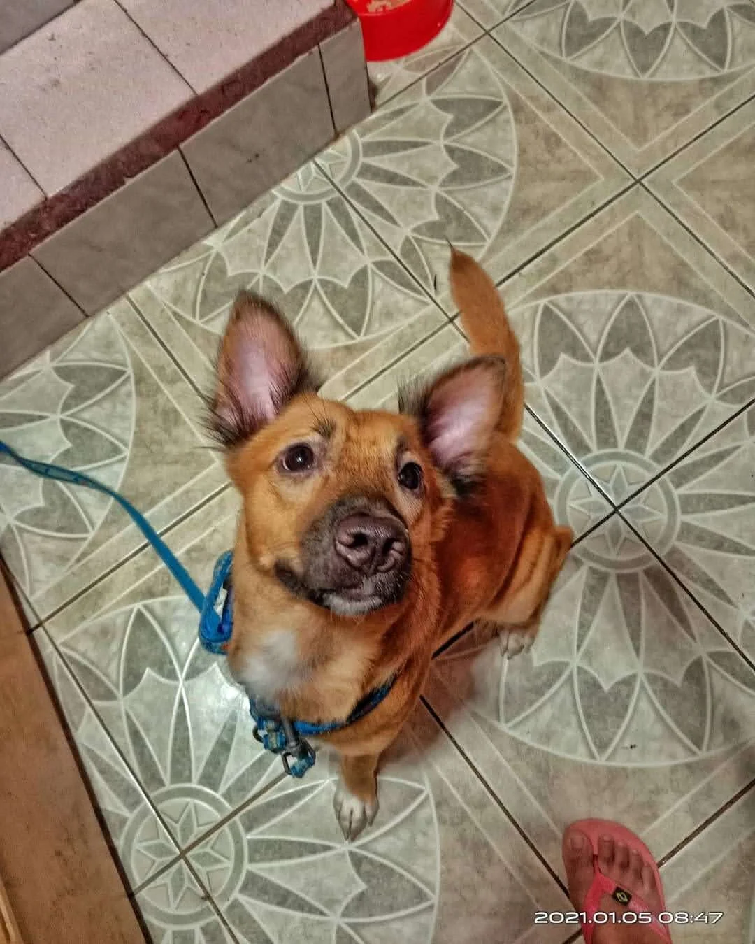 She has a look that will make you excite to pinch her cheeks or slap her butt. 