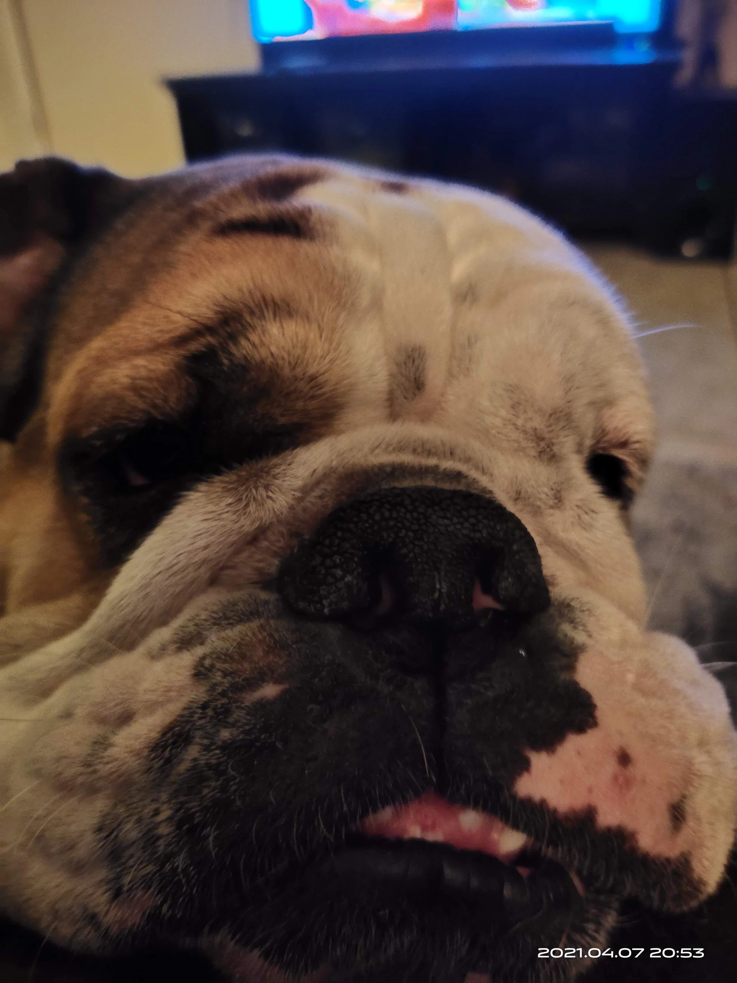 She love seeking attention.