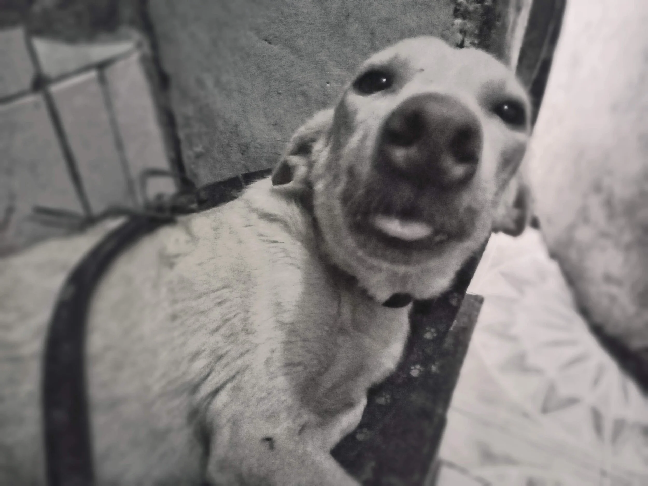 Cute picture of her.