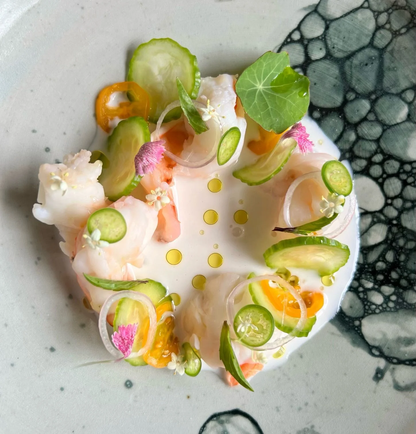 Lightly poached shrimp served with a cold coconut and ginger reduction. Served with baby cucumbers, Serranos, shallots and olive oil