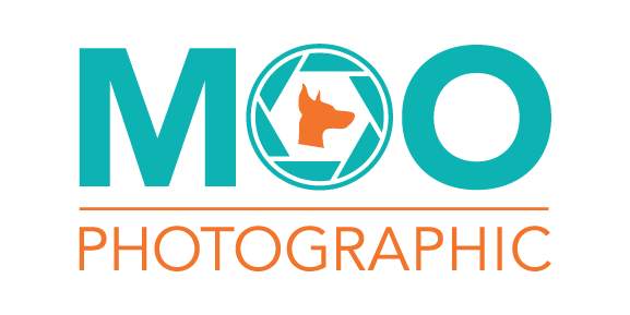 Moo Photographic