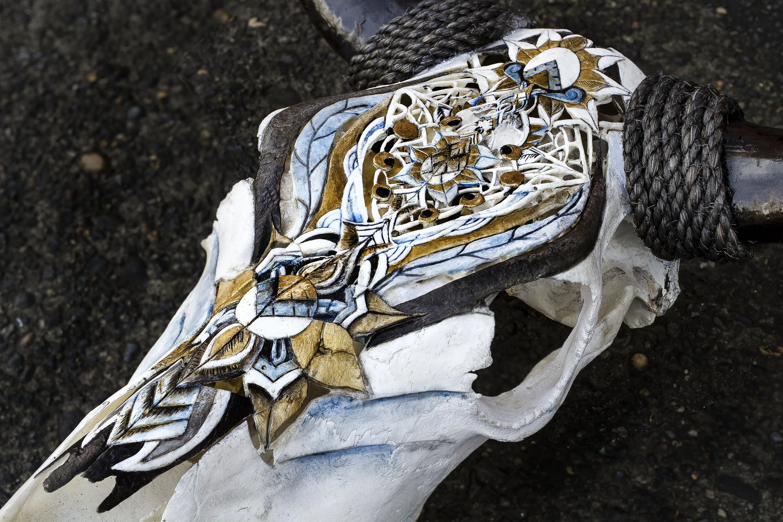 teotecow side crop.jpg