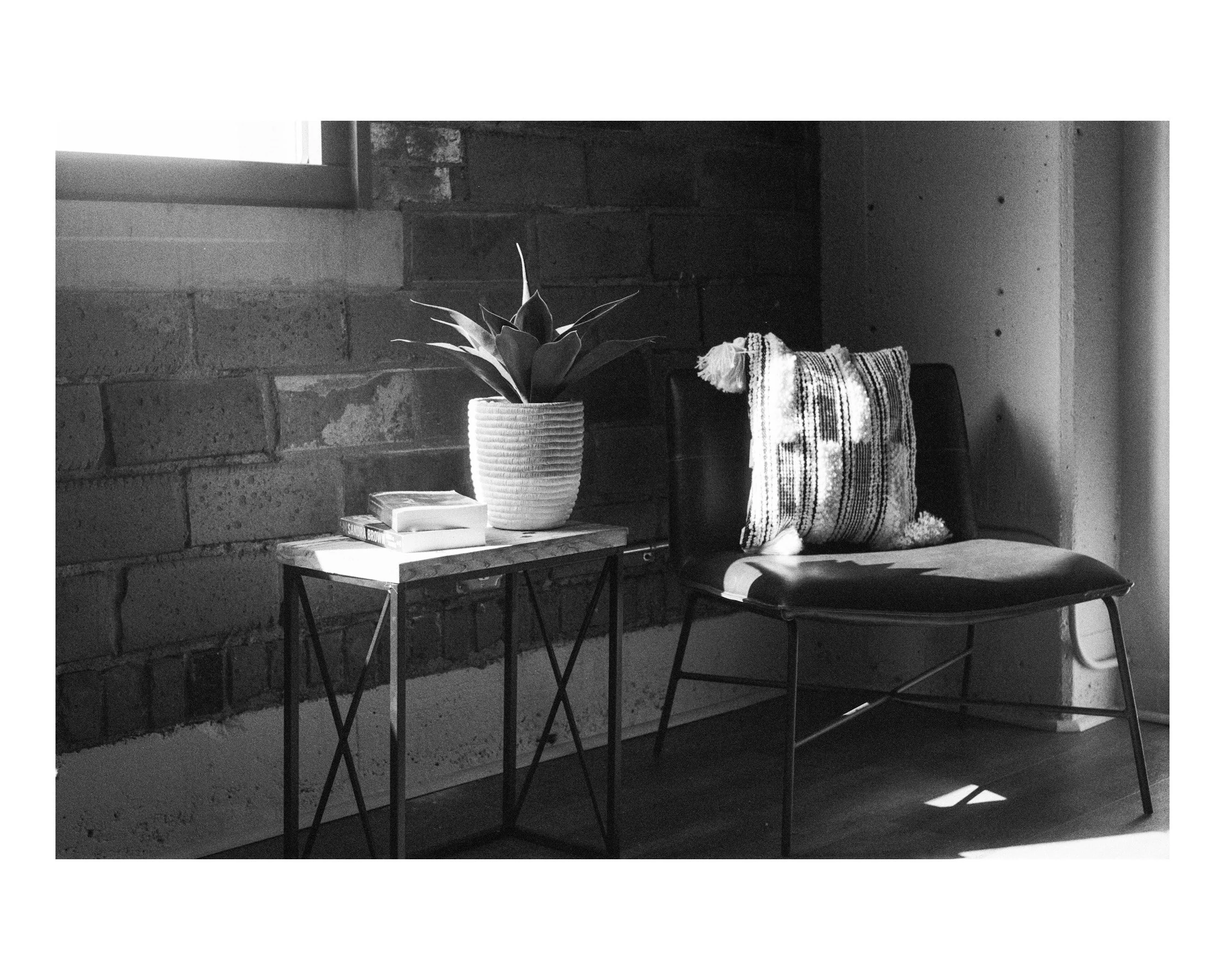 A black and white photo of a cozy room corner with a chair, a side table with a potted plant and books, against an exposed brick wall with sunlight streaming in.