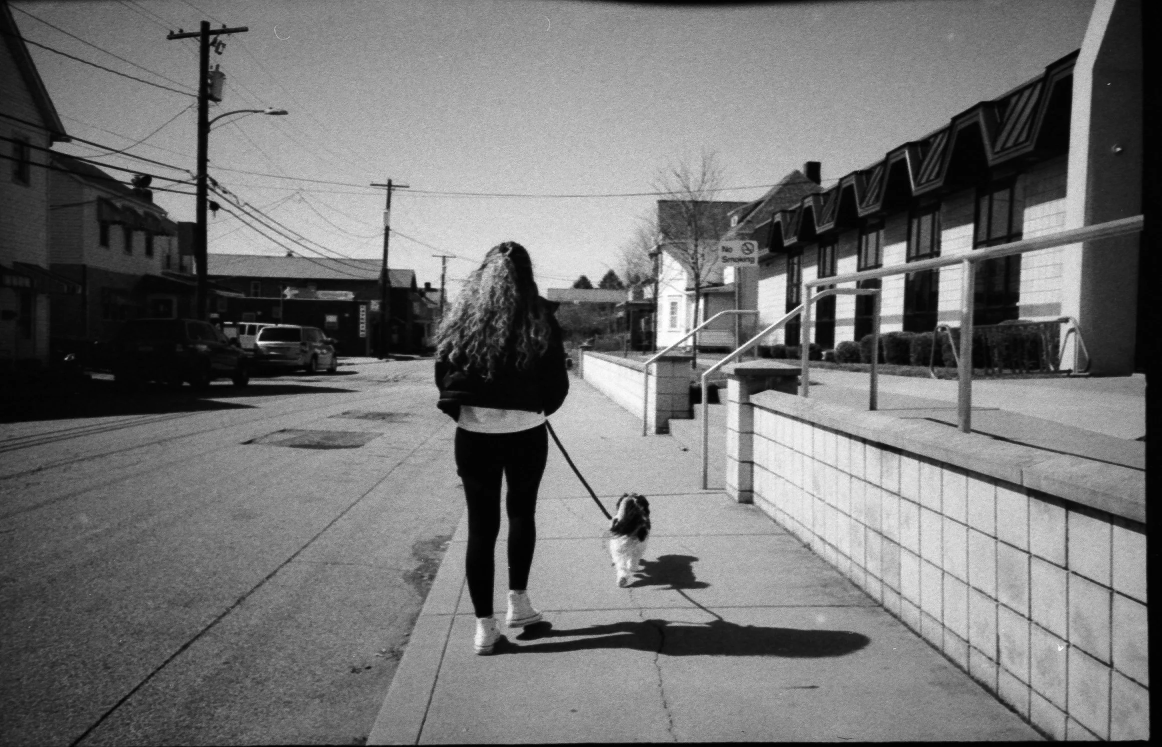 A person walking a small dog on a leash along a sidewalk in a suburban neighborhood on a sunny day, viewed from behind in black and white.