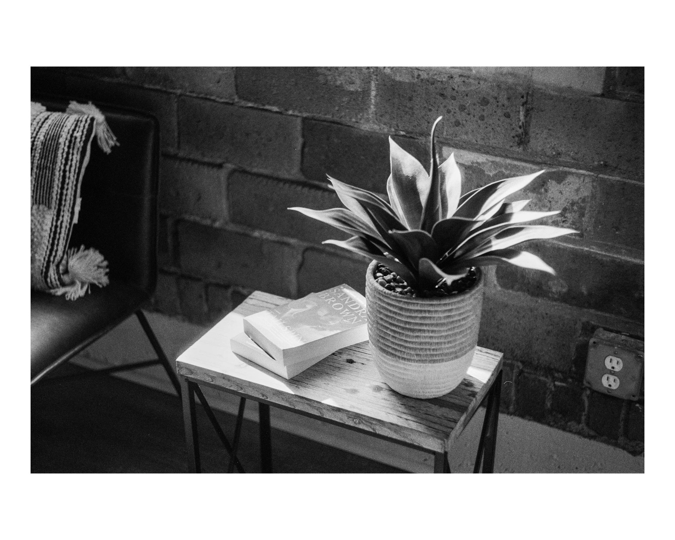 A potted plant with broad leaves on a wooden side table next to a book, in a room with an exposed brick wall.