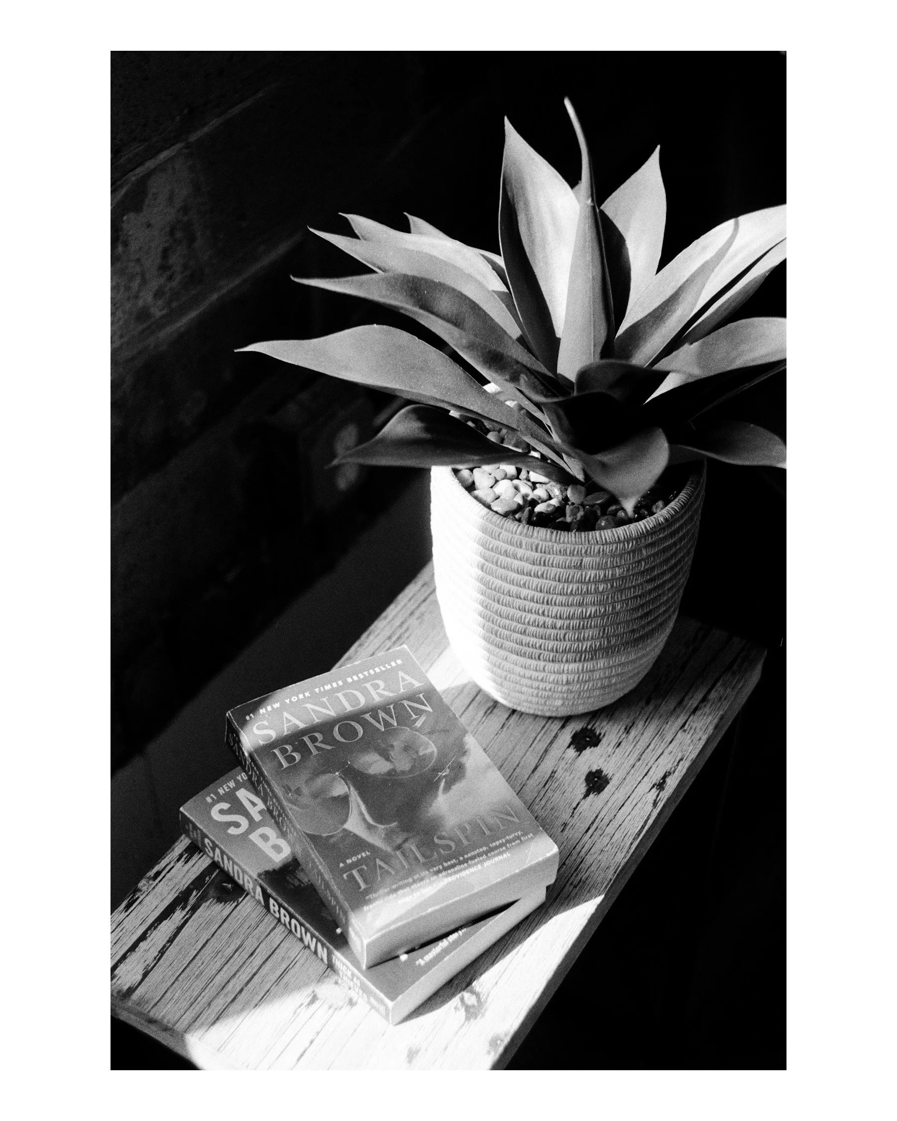 Black and white photo of a potted plant with large leaves and two books on a wooden surface.