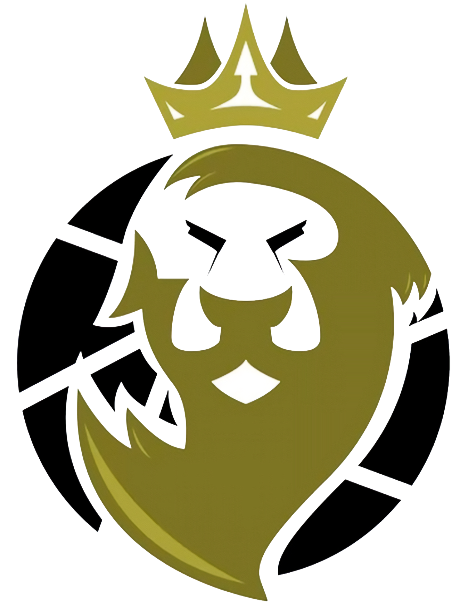 Joseph Corraini Media