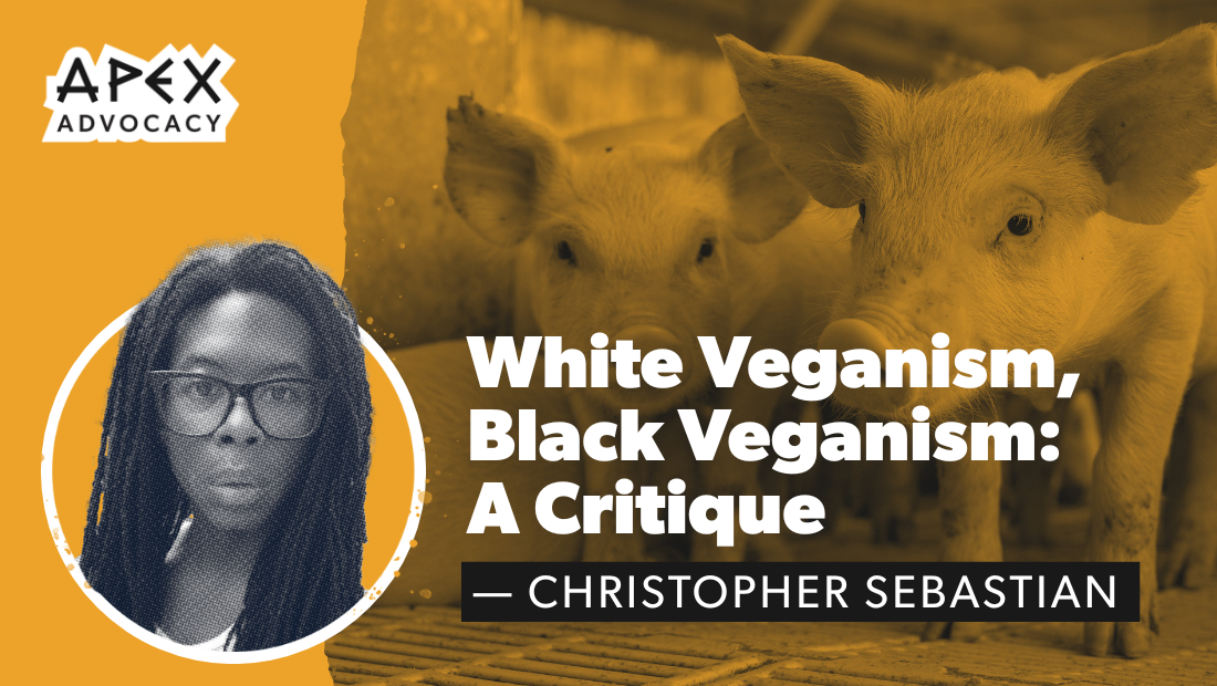 White Veganism, Black Veganism: A Critique&nbsp;