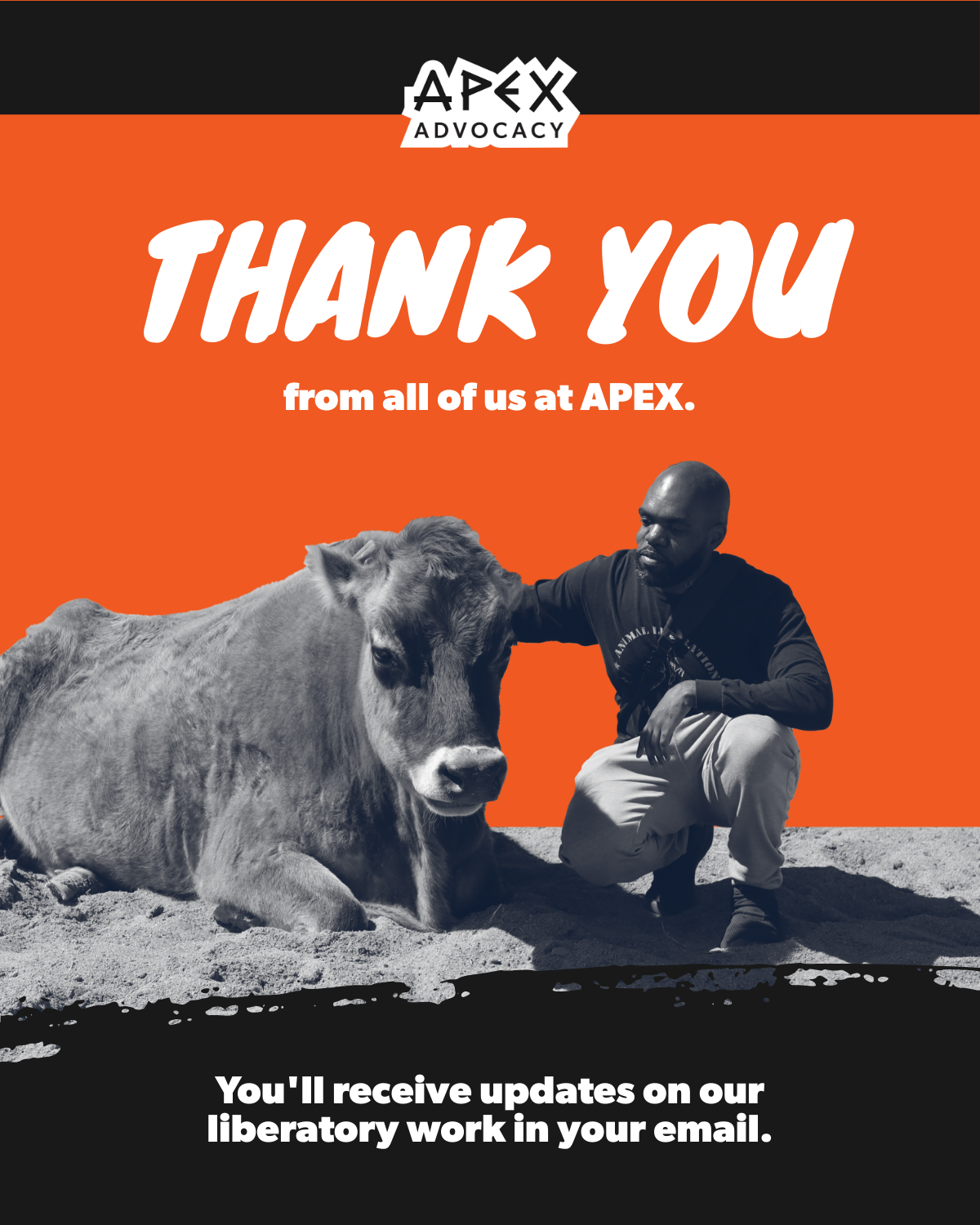 you'll receive updates on our liberatory work in your email