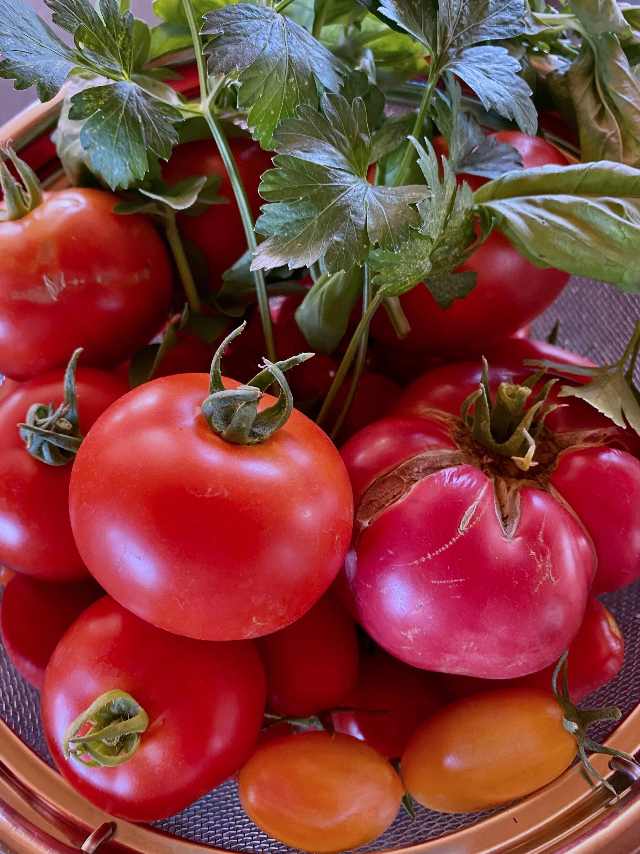 Tomatoes.jpg