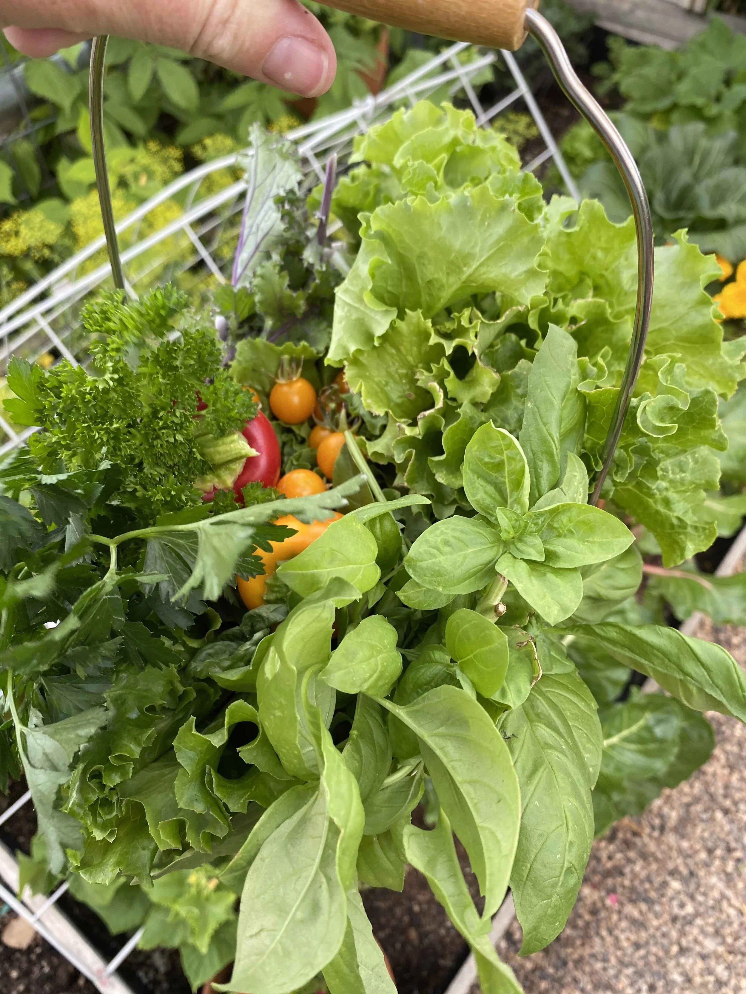 Gardening