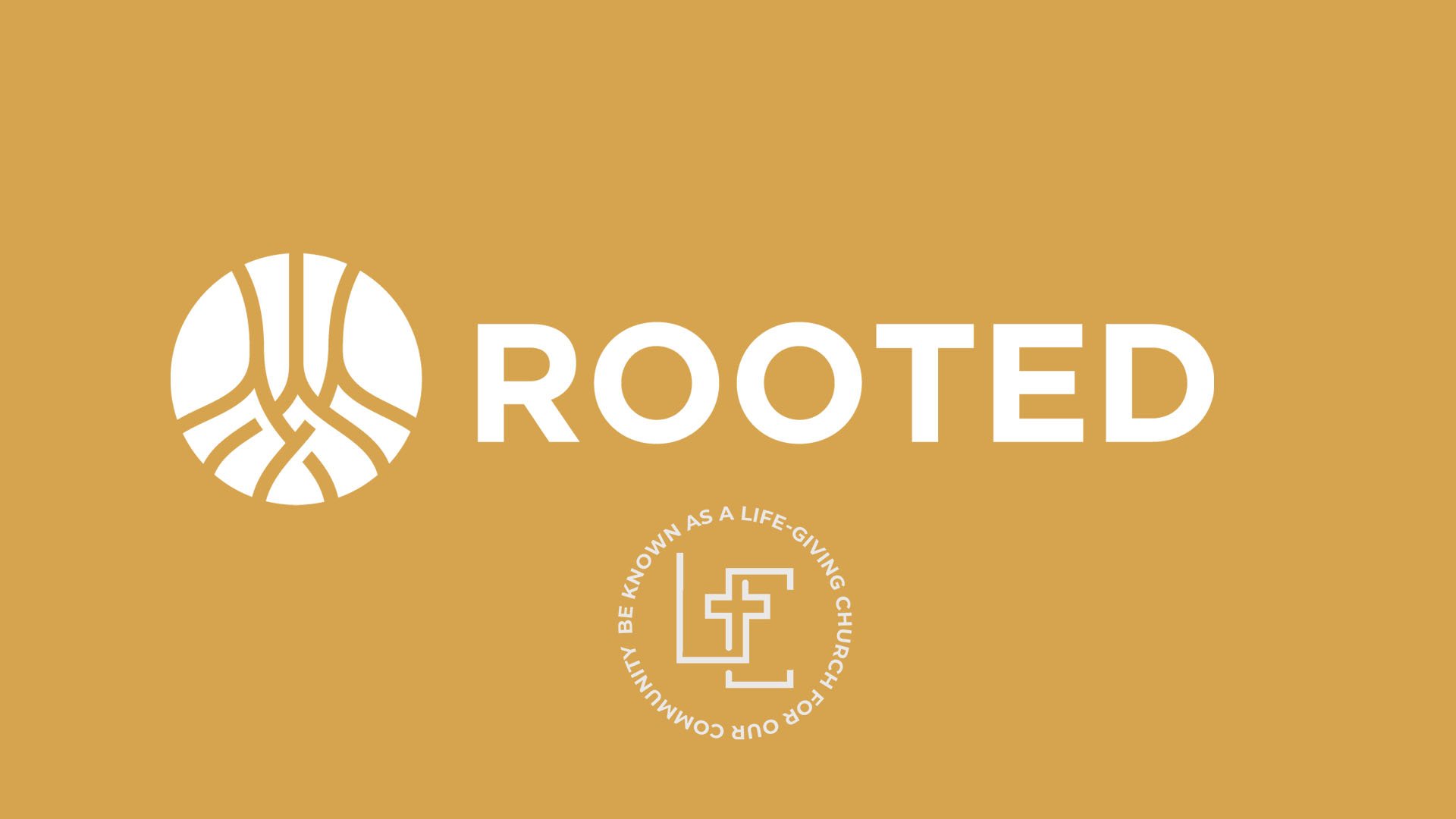 ROOTED - FALL