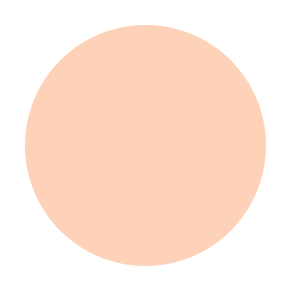 N4 Cool Neutral.png