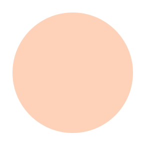 n4 cool neutral liquid concealer.png