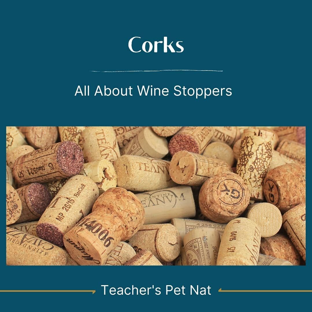 There are so many kinds of wine stoppers out there! From agglomerated corks to screw caps, all have pros and cons. Take a look at your next bottle and see what the stopper can tell you. 🍾

#wine #wineeducation #cork #virginiawine #winescience #winel