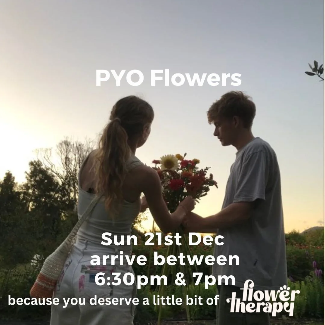 flower therapy (71).jpg