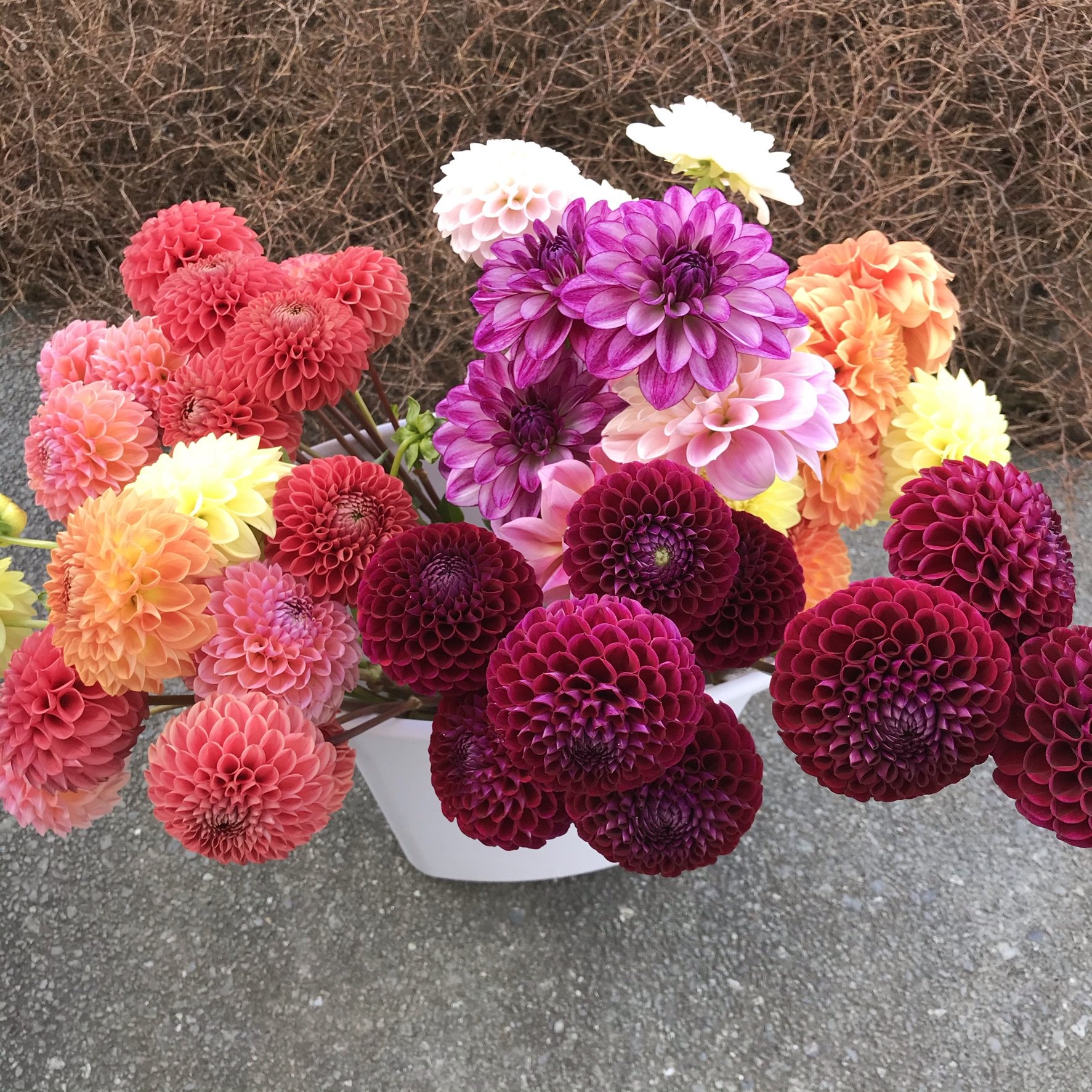 Store 1 — FLORA flowers