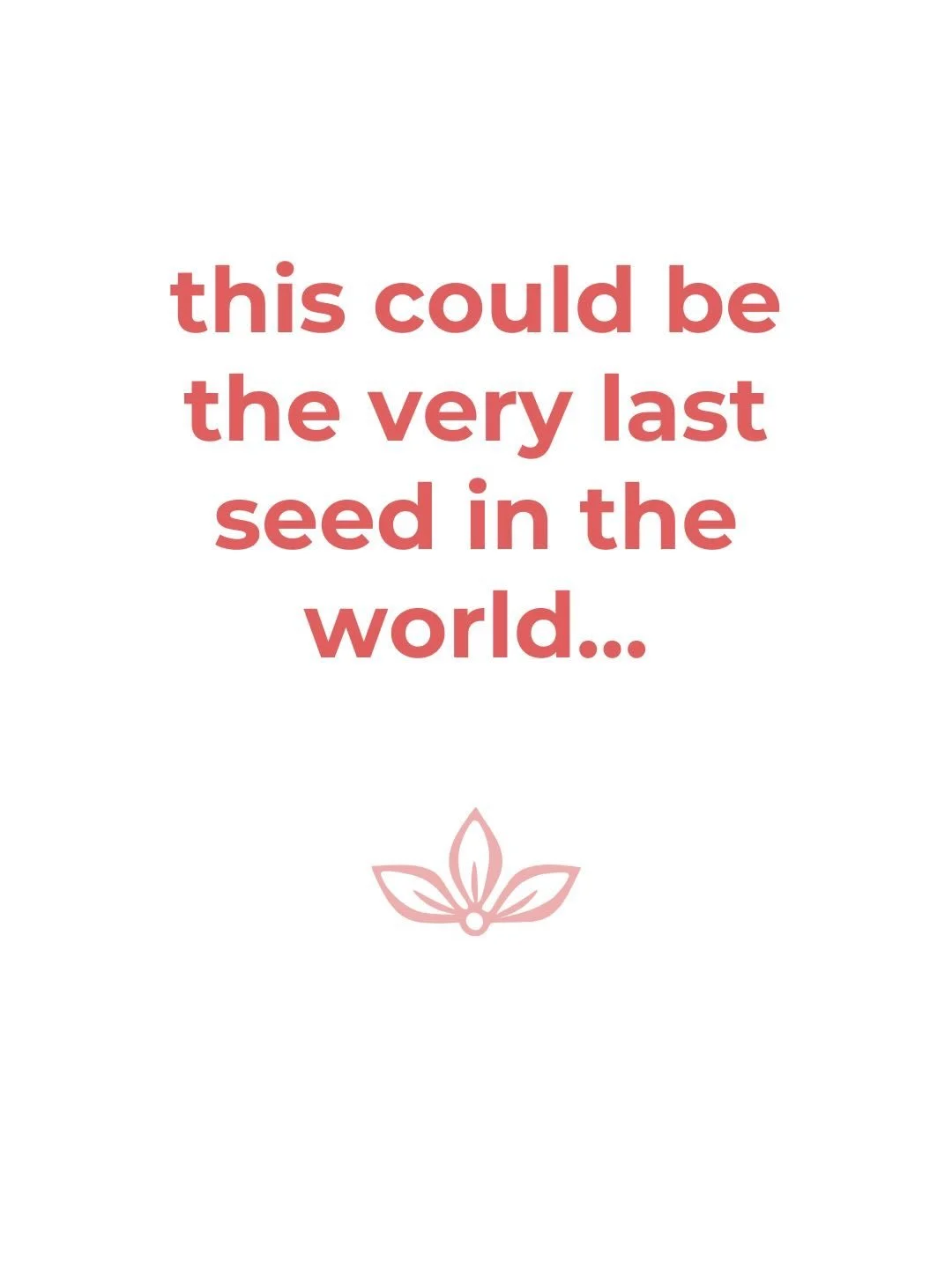 Okay - that was a bit dramatic!

But this could potentially be the last seed in NZ&hellip;

This is Millet Purple Baron. Seed for this is no longer able to be imported into NZ (or so the seed supplier says).

Fortunately I had saved a bit of my own s