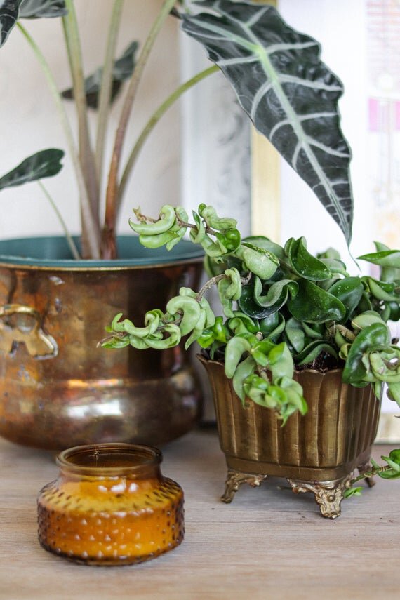 https://i.etsystatic.com/8401895/r/il/8e4848/2468580142/il_570xN.2468580142_tt1x.jpg