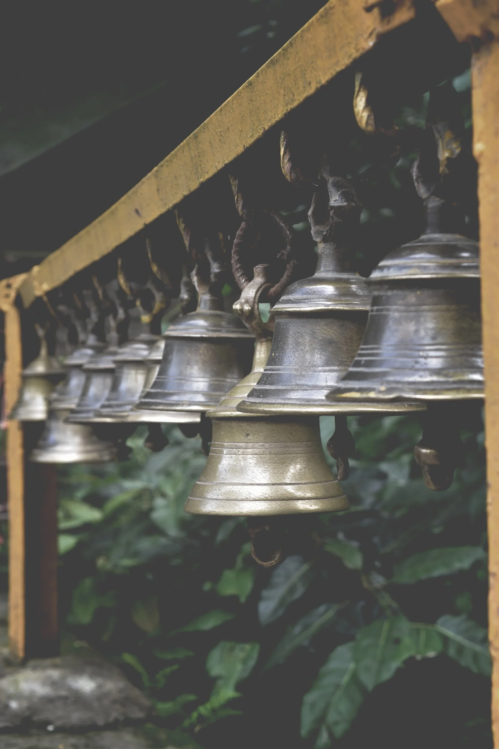 unsplash-image-TU6ejsFs_BA.jpg