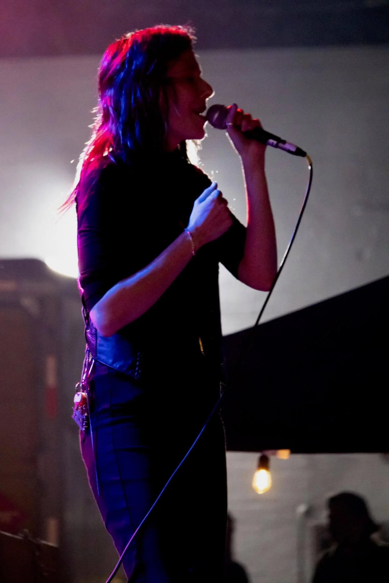 Dormont Music Festival - Concert Lighting - Wallflower Event Design - 21.jpeg