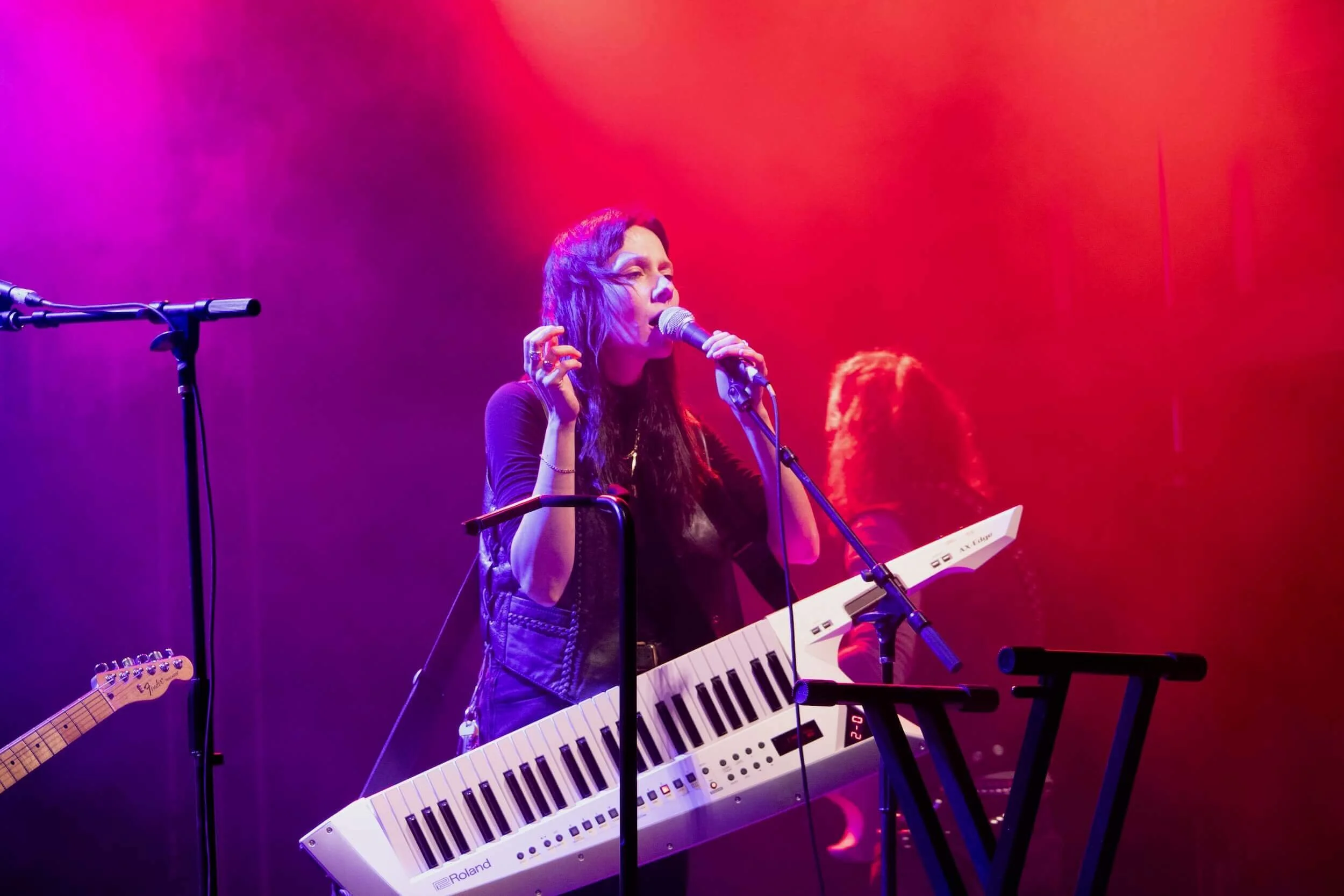 Dormont Music Festival - Concert Lighting - Wallflower Event Design - 1.jpeg