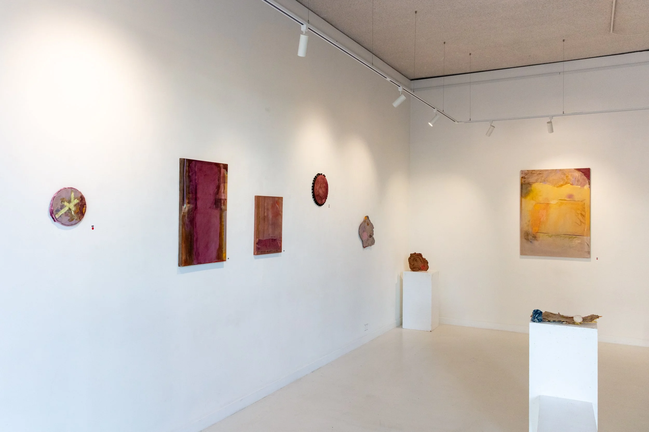 Hidden Seasons, Fallen Stars 2026. LEDA Gallery, Newcastle