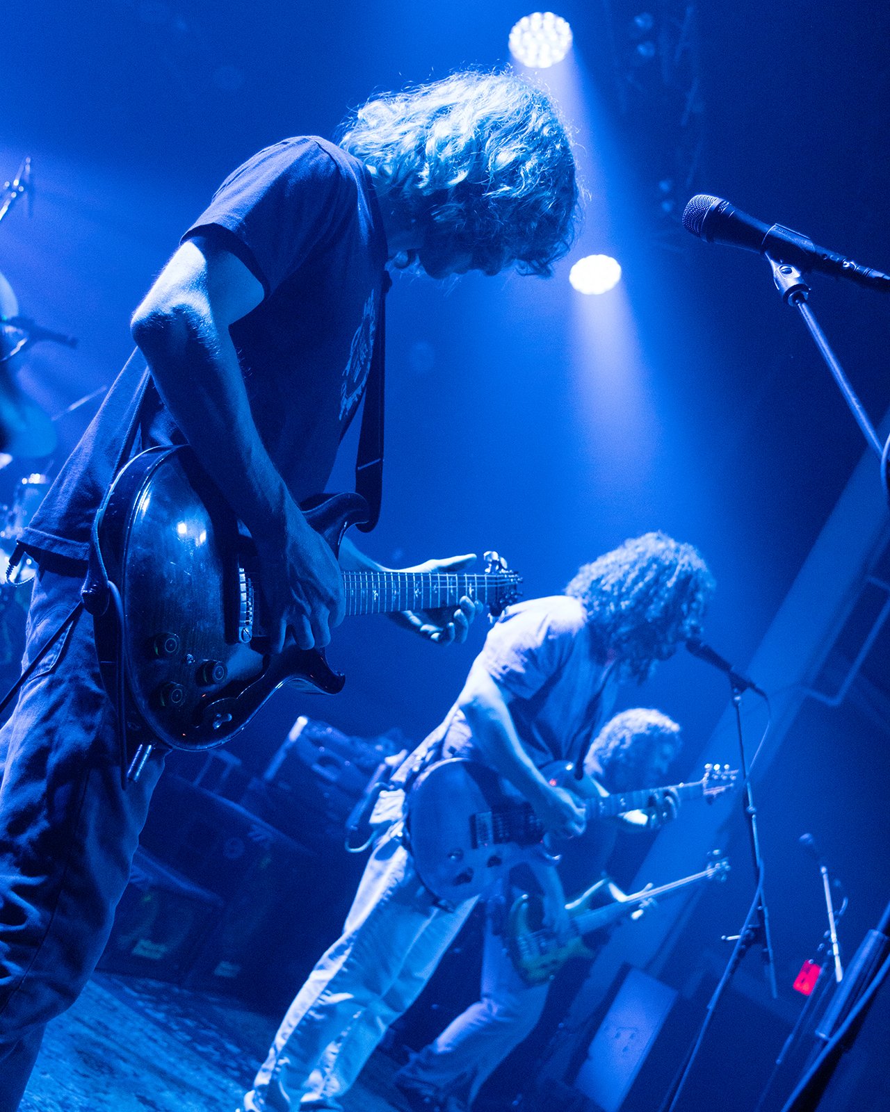 DSC01347 web.jpg