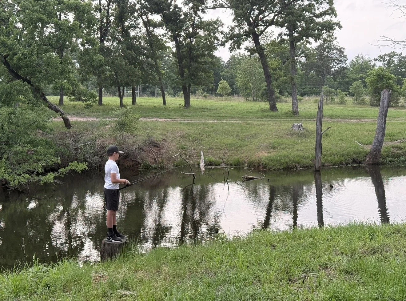 A young boy standing on a tree stump fishing in a small creek in a grassy, wooded area.