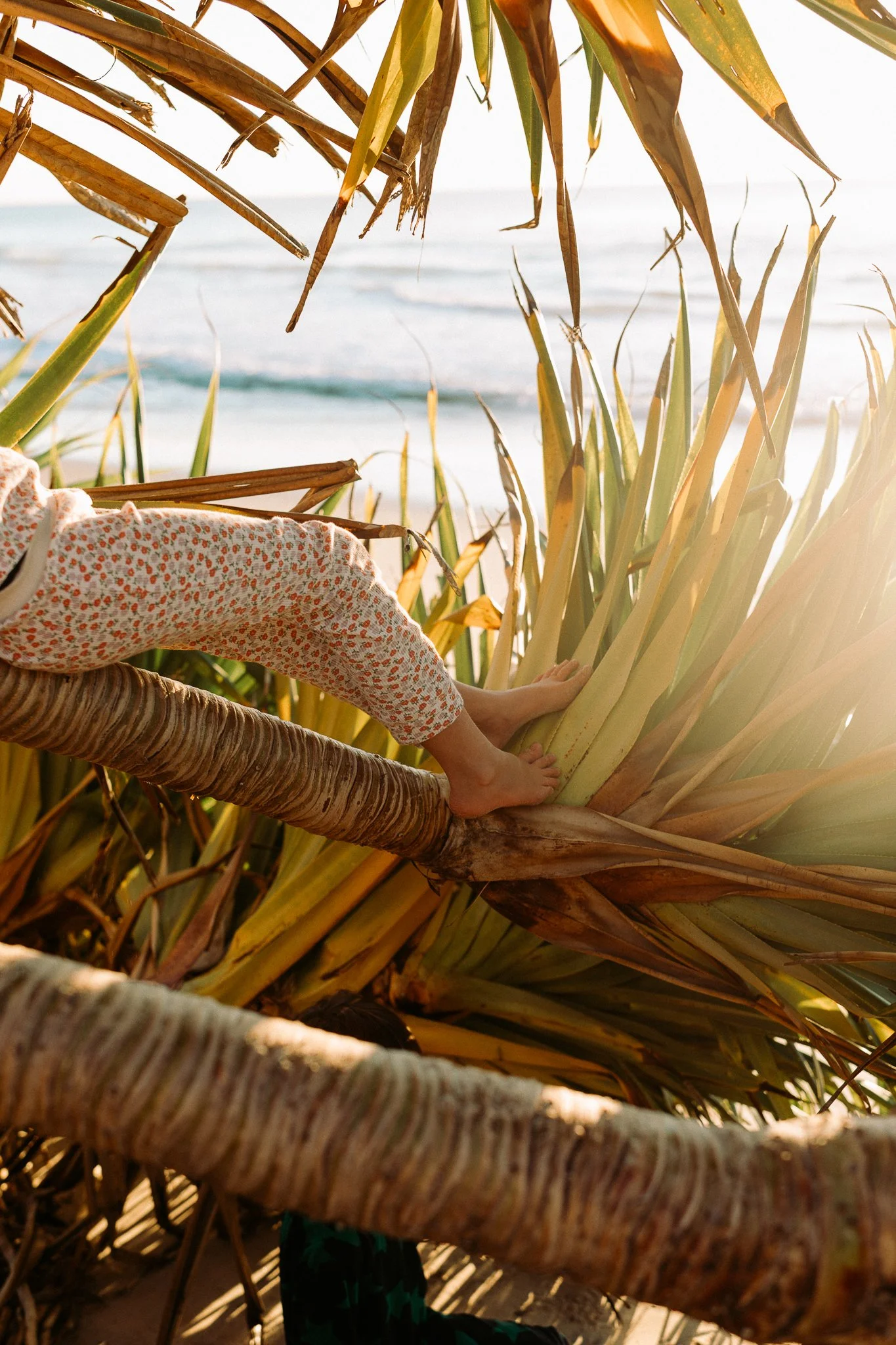 Learn To Photograph Your Own Family - A BegiNners Series