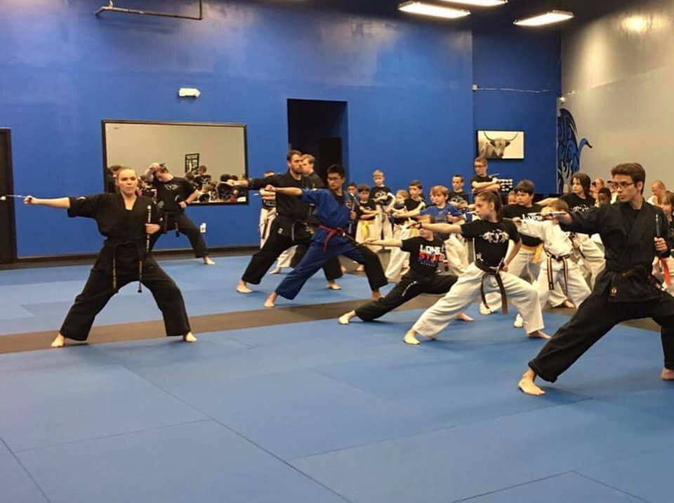 Lone Star Blackbelt Academy Seminar