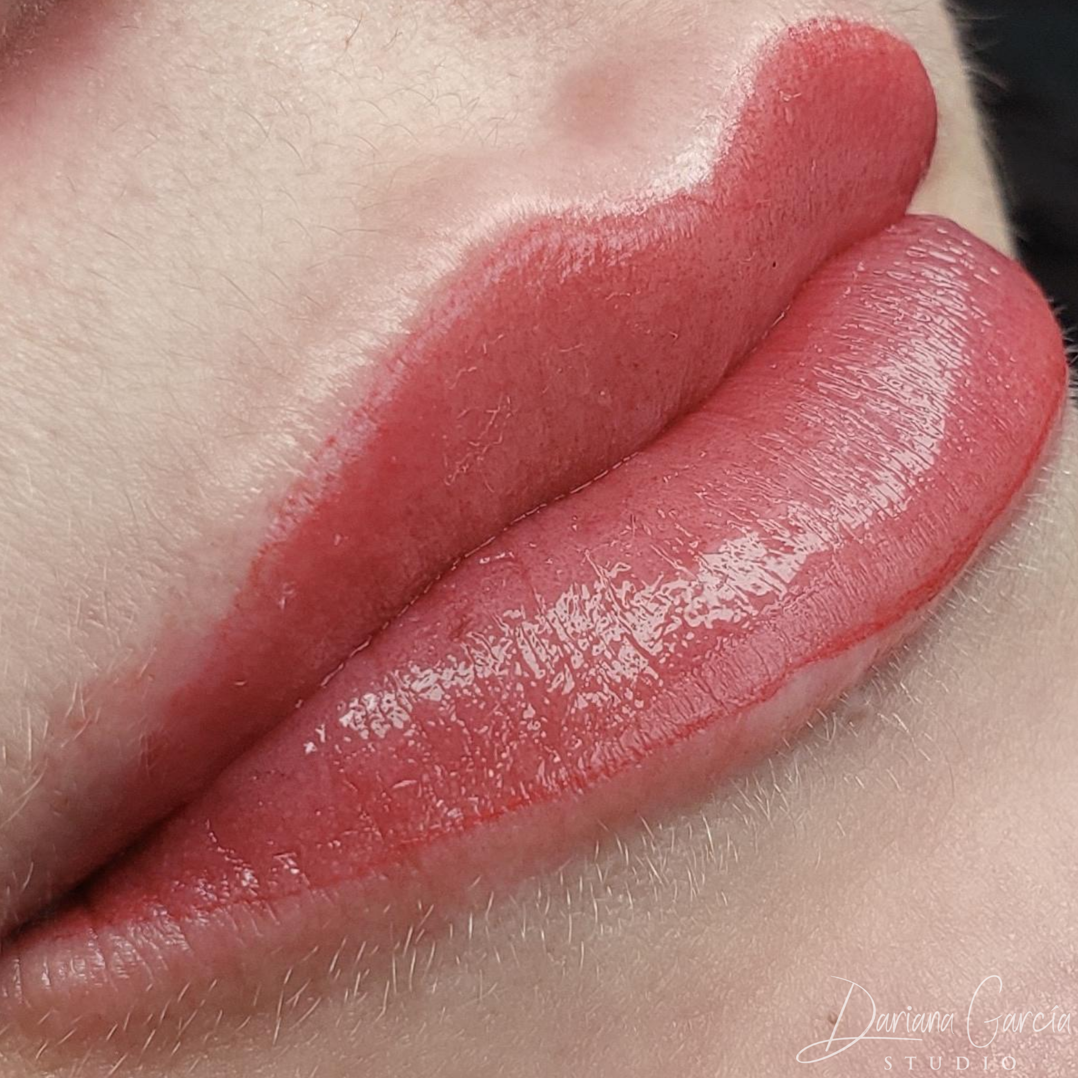 Lips-2.png