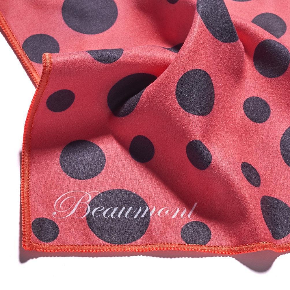 Ladybird (Close-Up).jpeg