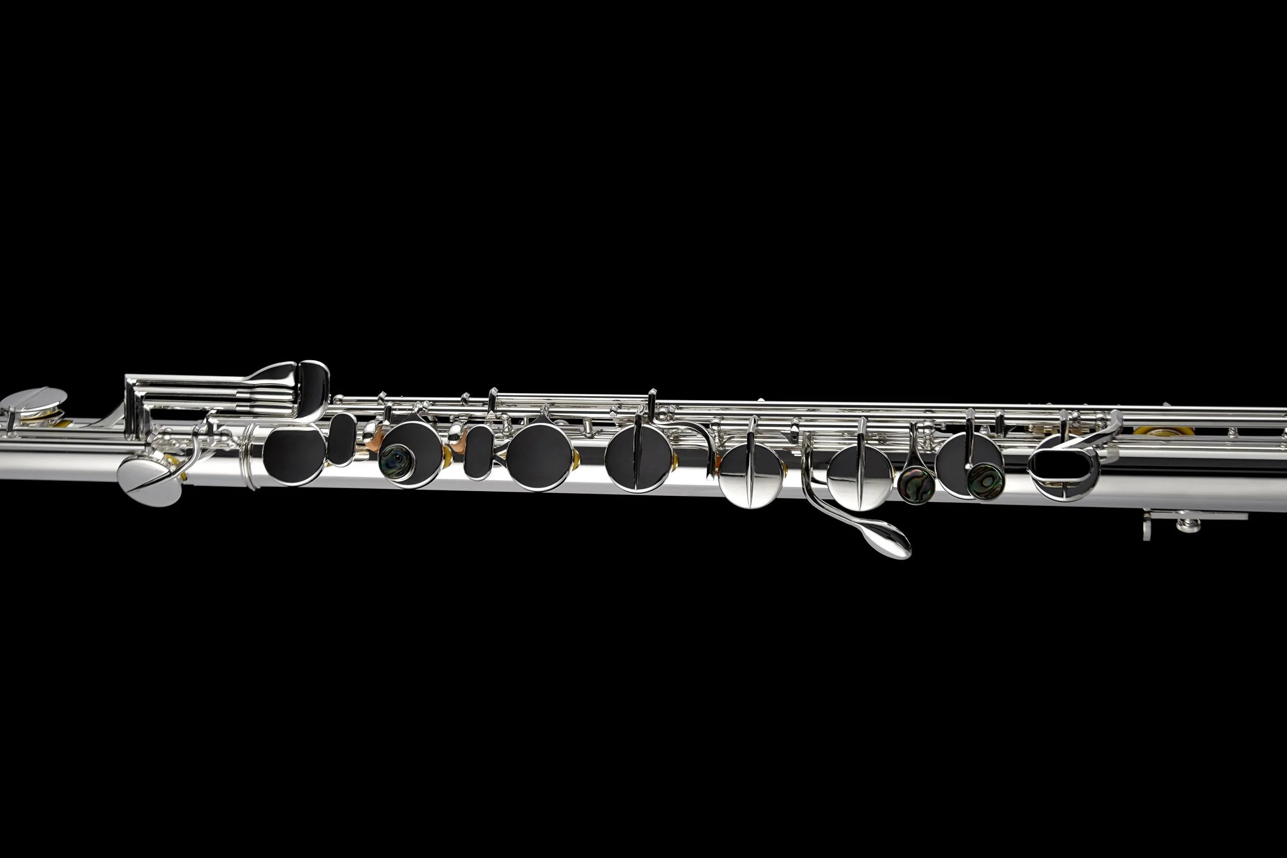 DZB Vertical (Keys).jpg