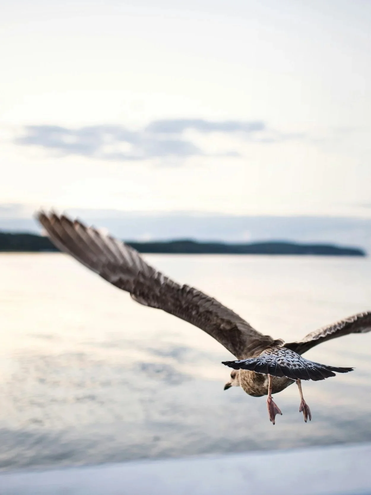 Mit “Studio Innomare” bereit für Europa und darüber hinaus.