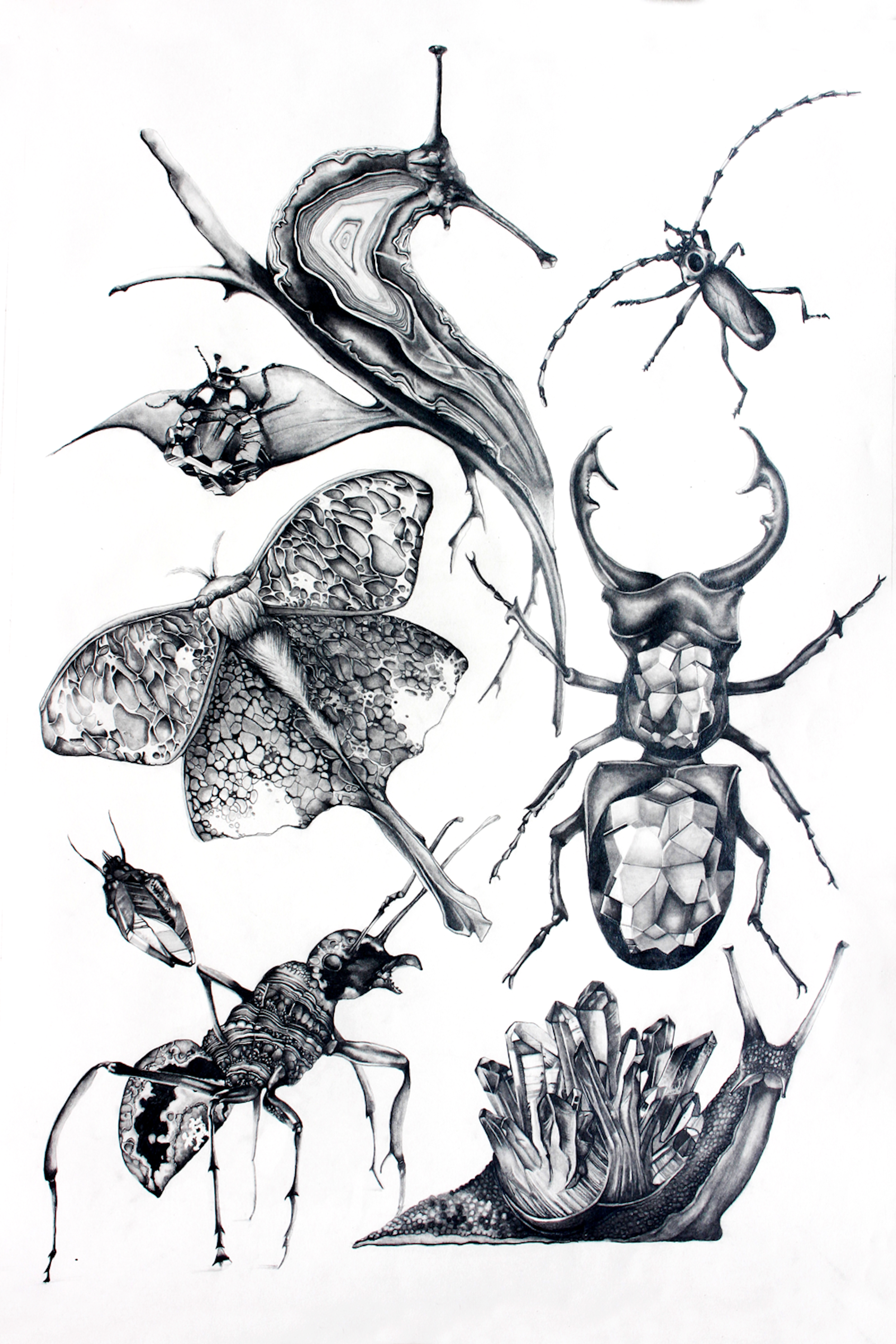 Insects of the Garden of Cursed Opals1000x1500.Grahitepng.png