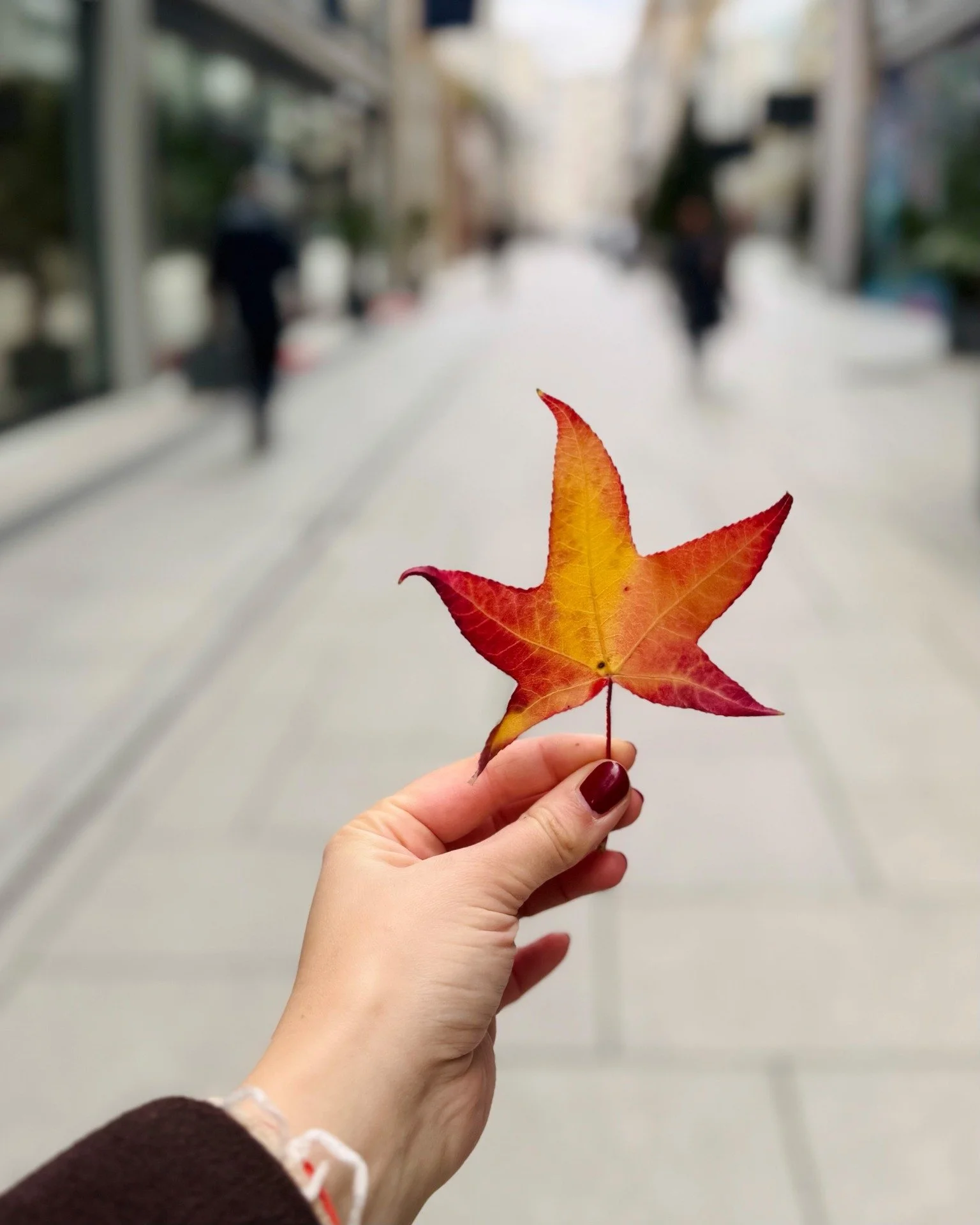 Zwischen bunten Bl&auml;ttern und warmem Licht: Der Herbst ist da. 🍁
Perfekt, um bei einem Spaziergang Zeit f&uuml;r sich und einen Moment zum Durchatmen zu haben, w&auml;hrend das Herbstlaub durch die Luft geweht wird. 🌬
➖
#neuerothof #shopping #f