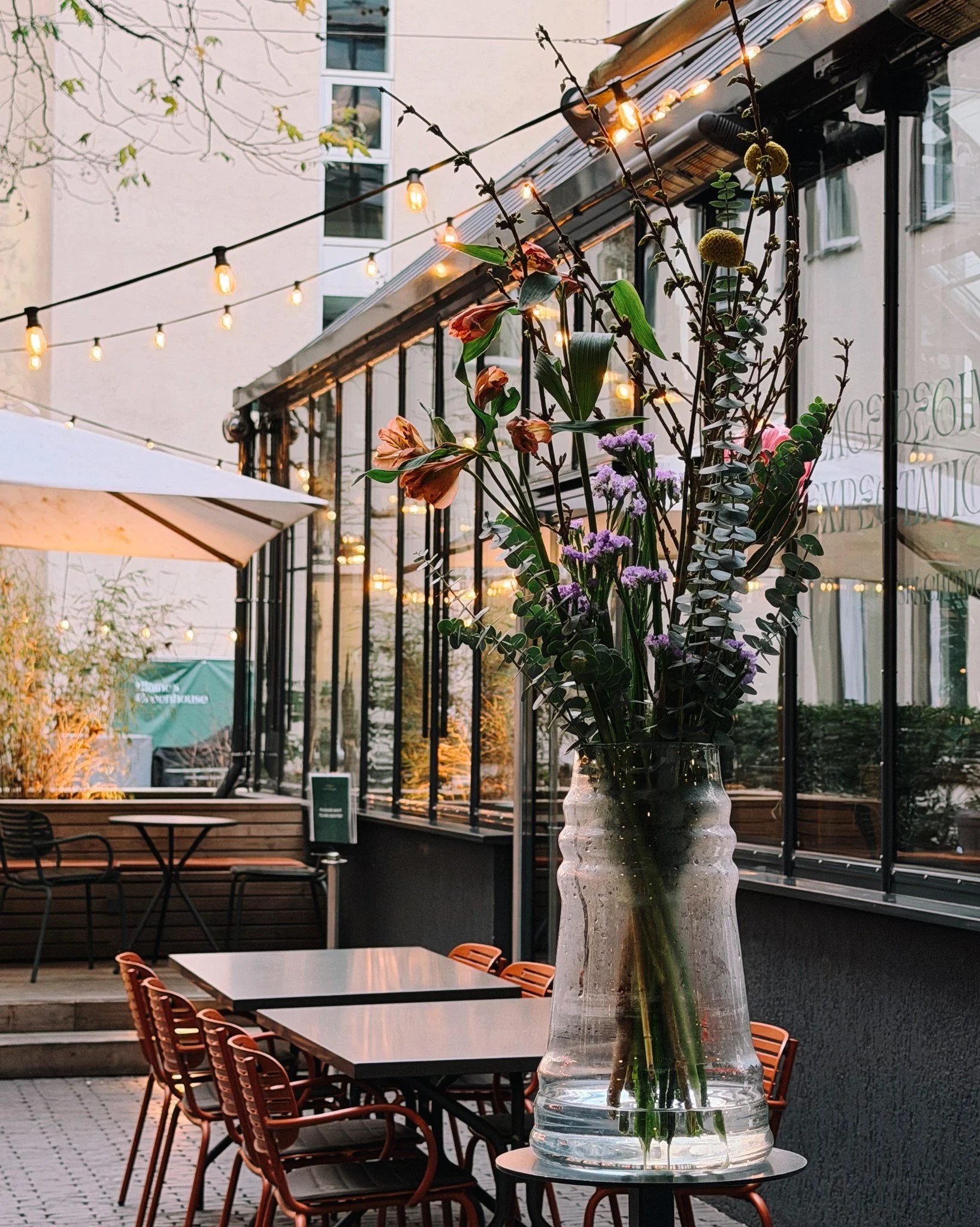 Hier schon einmal vom Fr&uuml;hling tr&auml;umen...💐 @elaines.greenhouse 
➖
#neuerothof